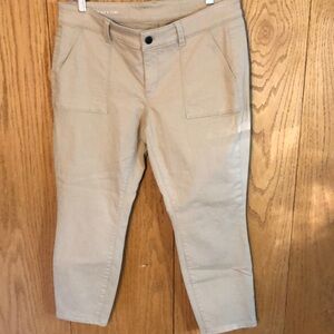 Ann Taylor Tan Women's Pants